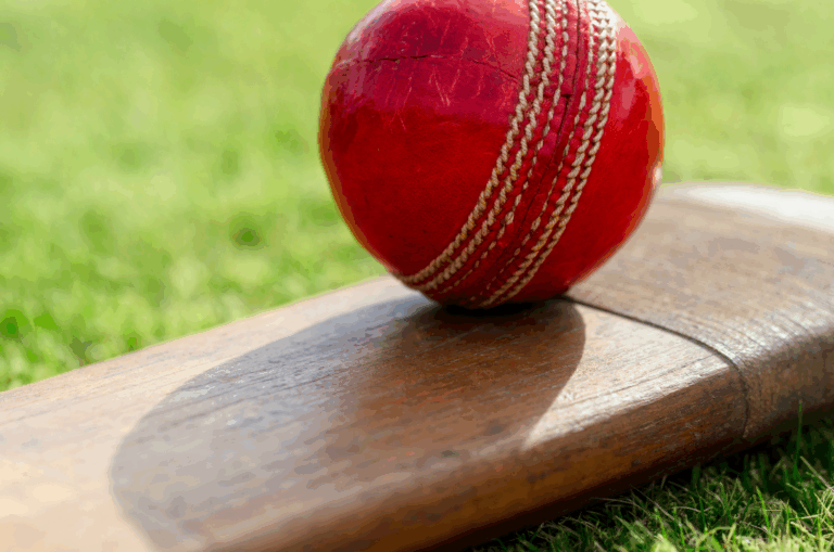 A red cricket ball rests on a wooden cricket bat lying on green grass.