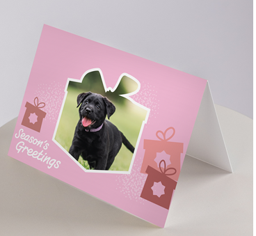 The Christmas Cards - Puppies feature a pink holiday design with a black puppy photo in a gift-shaped frame, Seasons Greetings, and two gift box illustrations.