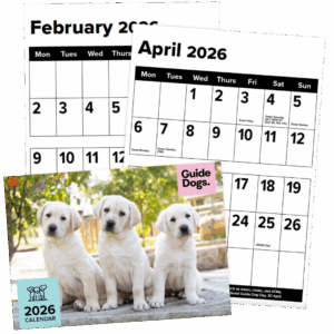 2026 Calendar featuring February and April pages, plus a cover photo of three Labrador puppies and Guide Dogs text.