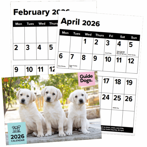 2026 Calendar featuring February and April pages, plus a cover photo of three Labrador puppies and Guide Dogs text.