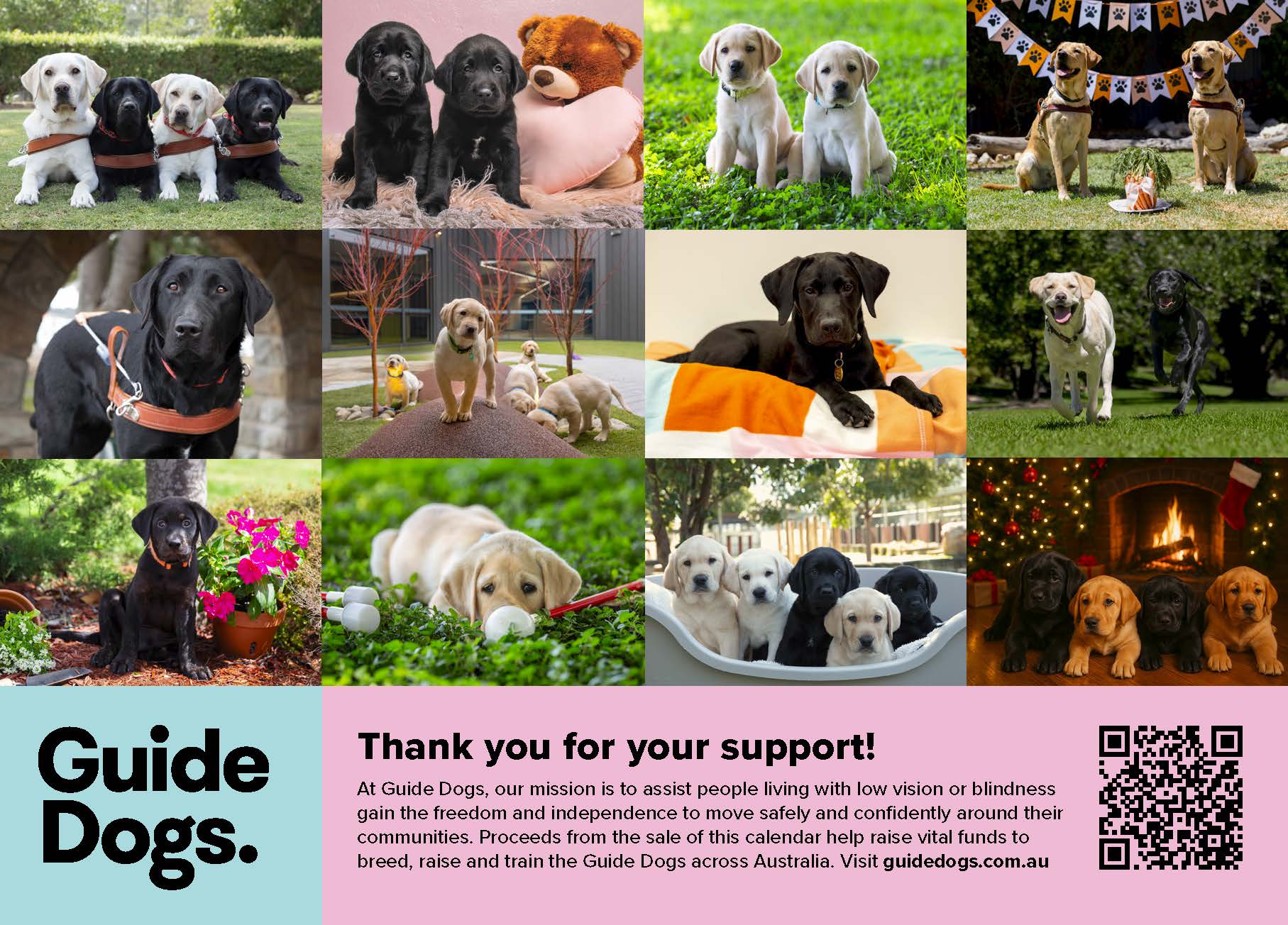 A collage of guide dog puppies in different settings, some with toys or people, features on the 2026 Calendar with text and a QR code promoting Guide Dogs Australia.