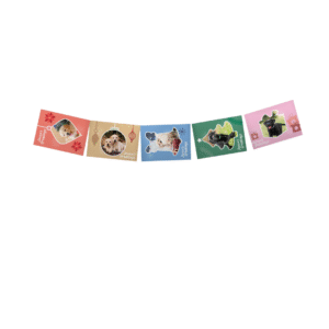 A set of five Christmas Cards - Puppies, each showing a dog in festive accessories on vibrant backgrounds.