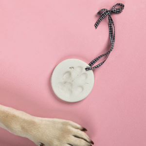 A dog’s paw reaches for the Clay Paw Print Kit, featuring a round ornament with a paw print impression and a checkered ribbon, displayed on a pink background.
