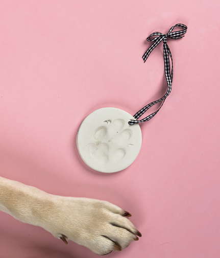 A dog’s paw reaches for the Clay Paw Print Kit, featuring a round ornament with a paw print impression and a checkered ribbon, displayed on a pink background.