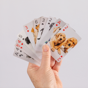 A hand holds a fan of Playing Cards that feature images of puppies instead of traditional card designs.