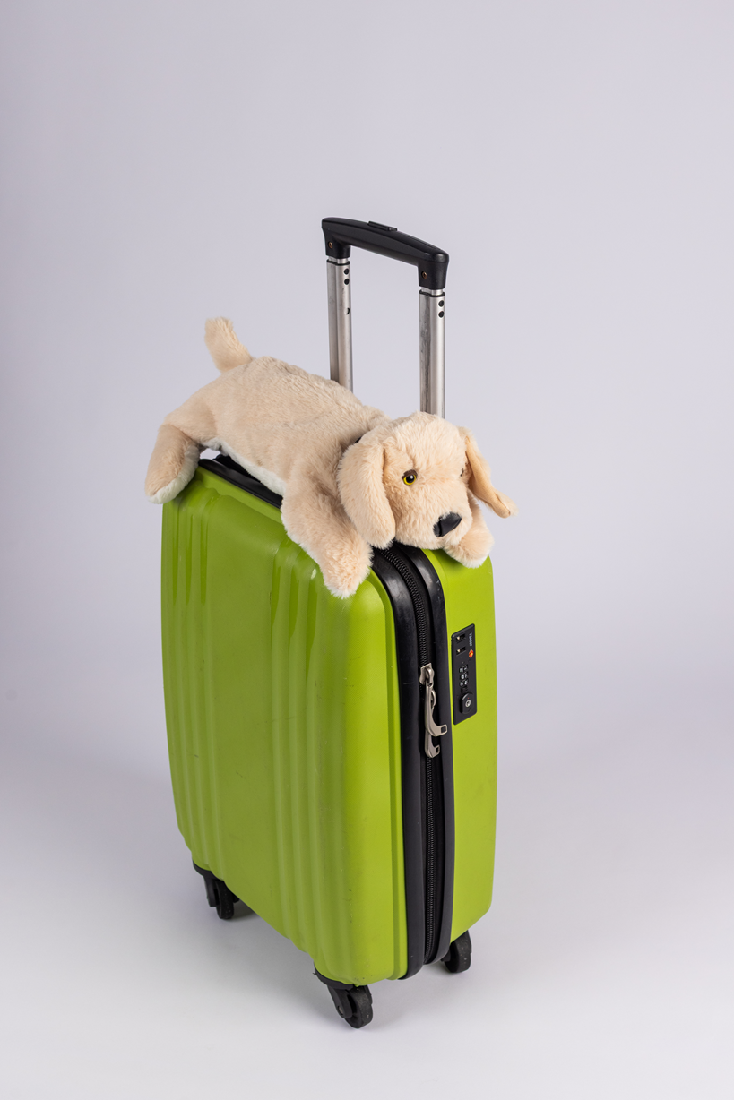 A green hard-shell suitcase with a Plush PJ Puppy toy lying on top, against a plain light background.