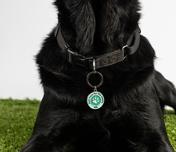 A black dog lies on artificial grass, wearing a collar with a round green and white tag from the Keyring and Charm Set that reads Pawsing for the Cause GD.