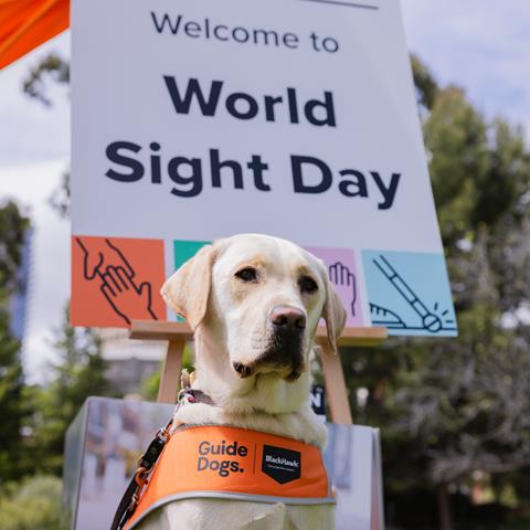 A guide dog wearing an orange vest sits in front of a sign that reads Welcome to World Sight Day.