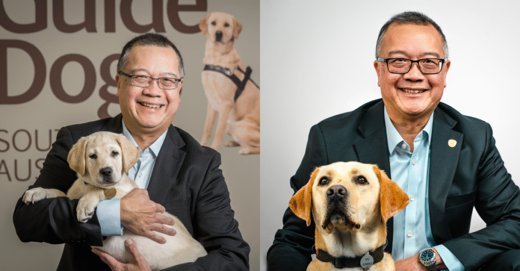 A man in a suit poses with a guide dog puppy in his arms in one photo, and with an adult guide dog sitting in front of him in another.