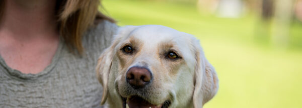 Make a tax-deductible gift today