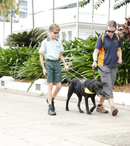 First steps with a Guide Dog
