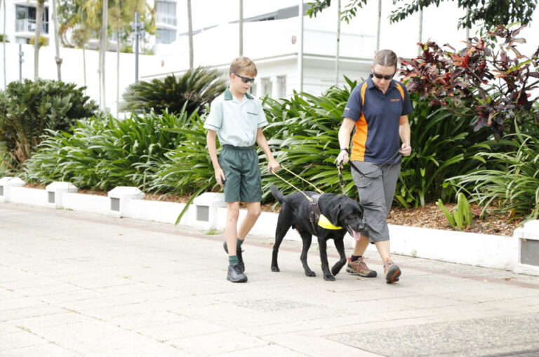 First steps with a Guide Dog