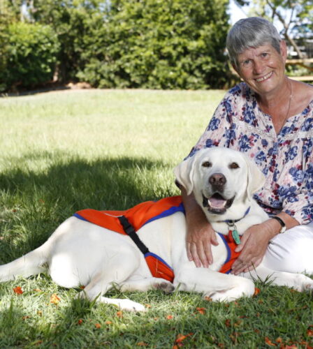 Give ‘Archie’ a helping paw!