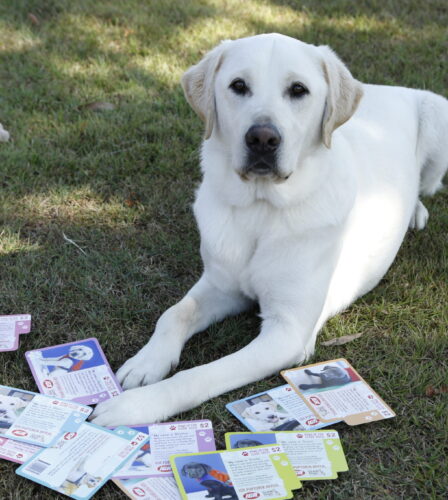 PUPtober is spreading the puppy love