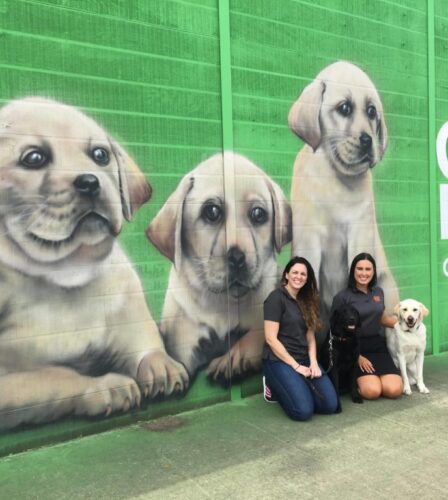 Paw-some new mural in Bald Hills