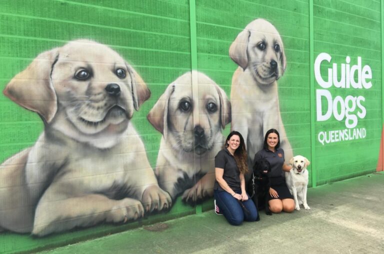 Paw-some new mural in Bald Hills