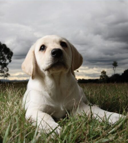 Keeping calm in storm season