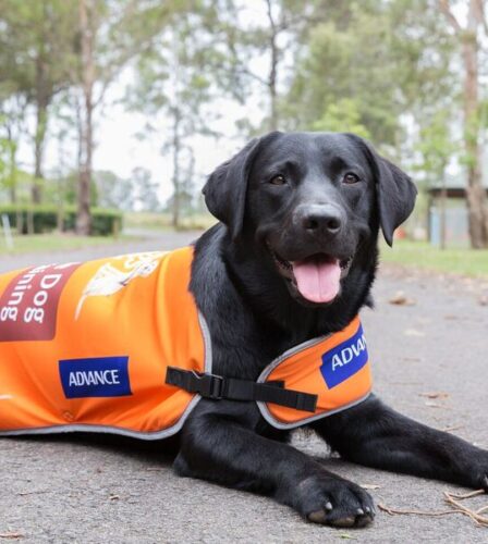 Our paw-some new look!