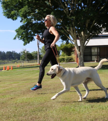 Twilight Run to set tails wagging