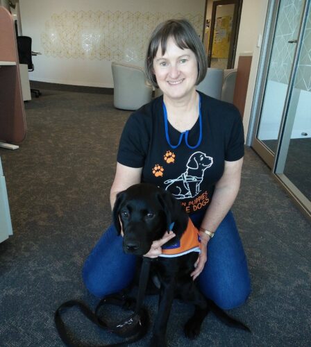 Do you wish you could bring a dog to work?