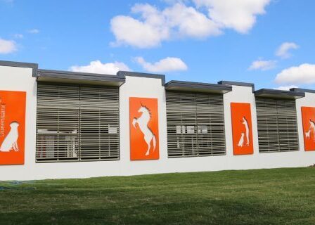 The story behind the resident unicorn