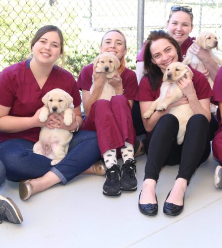 Saving our Miracle Litter