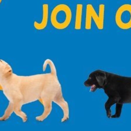 Why Skylar is running B2B