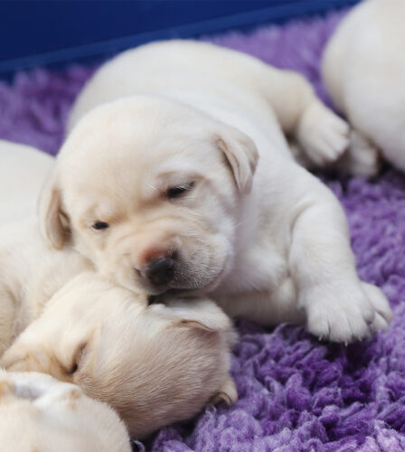 Meet Miracle mum &#8216;Nora&#8217;