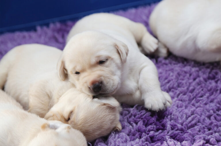 Meet Miracle mum &#8216;Nora&#8217;