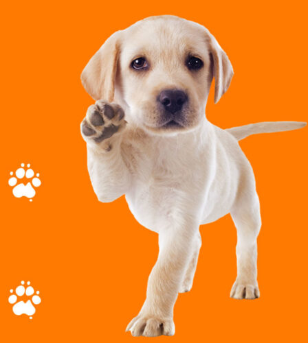 Ray was afraid he would lose his best mate