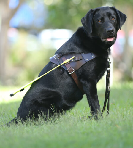 Finding freedom through the NDIS