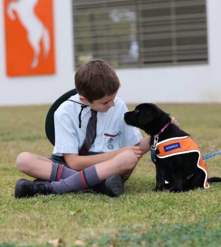 Puppy raising can be a perfect fit with work and busy life