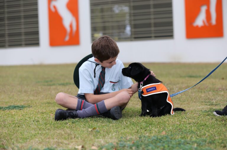 Puppy raising can be a perfect fit with work and busy life