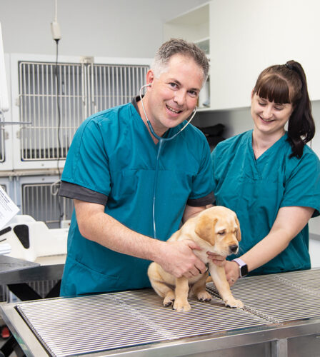 Thank you for making our Vet Clinic dream a reality