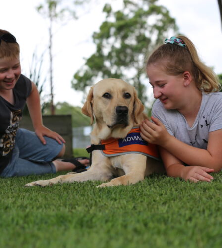Ava puts her paws up to help others.