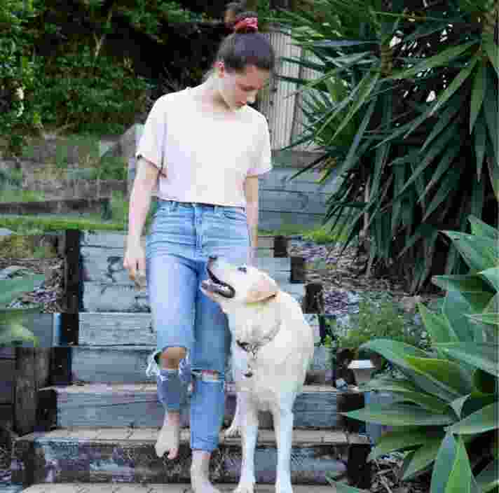 A person walking down some stairs with their yellow labrador dog. The dog and handler and looking at each other.
