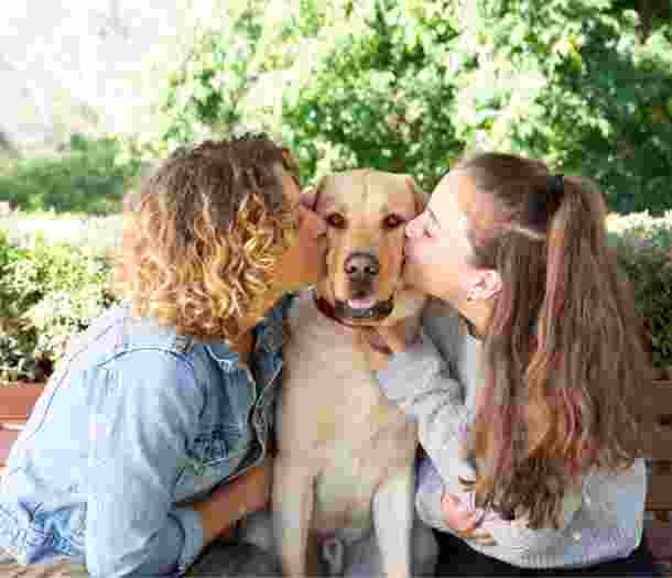 Two people kissing the cheeks of a yellow labrador dog. The dog is seated in between the two people and is looking at the camera.