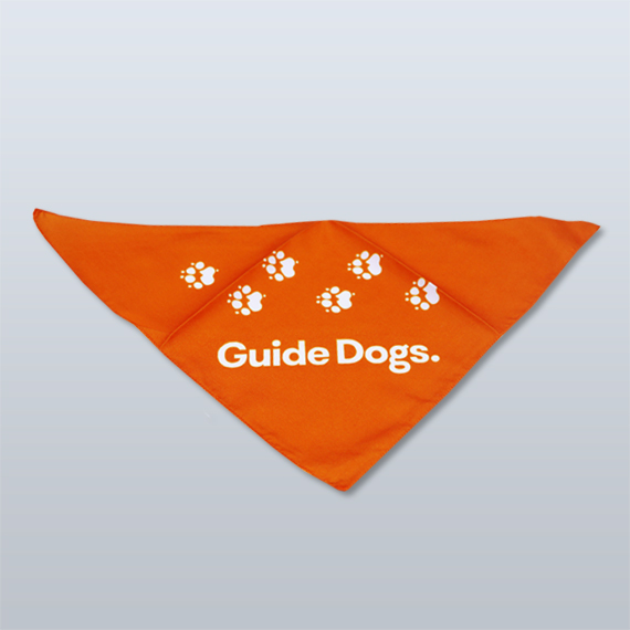 Orange store dog bandana