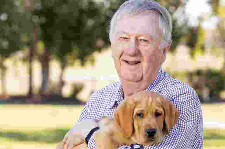 Guide Dogs Queensland Board President, Richard Anderson OAM, standing outside holding an eight week old caramel labrador puppy. Richard is looking at the camera smiling.