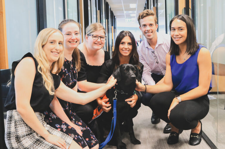 Office workers kneeling around a black Labrador wearing an orange training coat