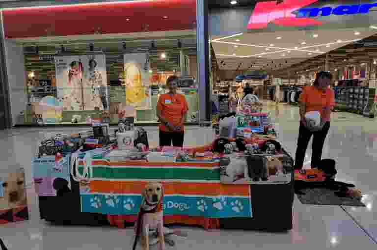 Two volunteers and a Guide Dog-in-Training standing next to a merchandise stall filled with Guide Dogs merchandise.