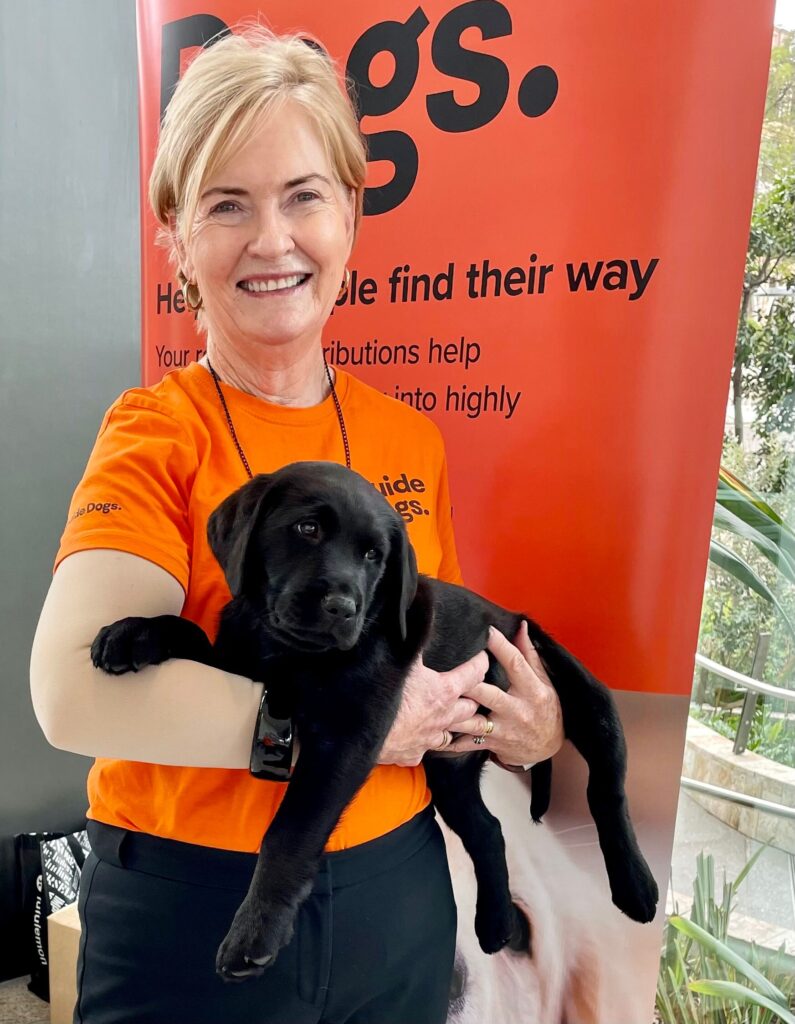 Guide Dogs volunteer, Shelley is standing in front of a Guide Dogs banner holding a black Labrador Guide Dogs puppy.