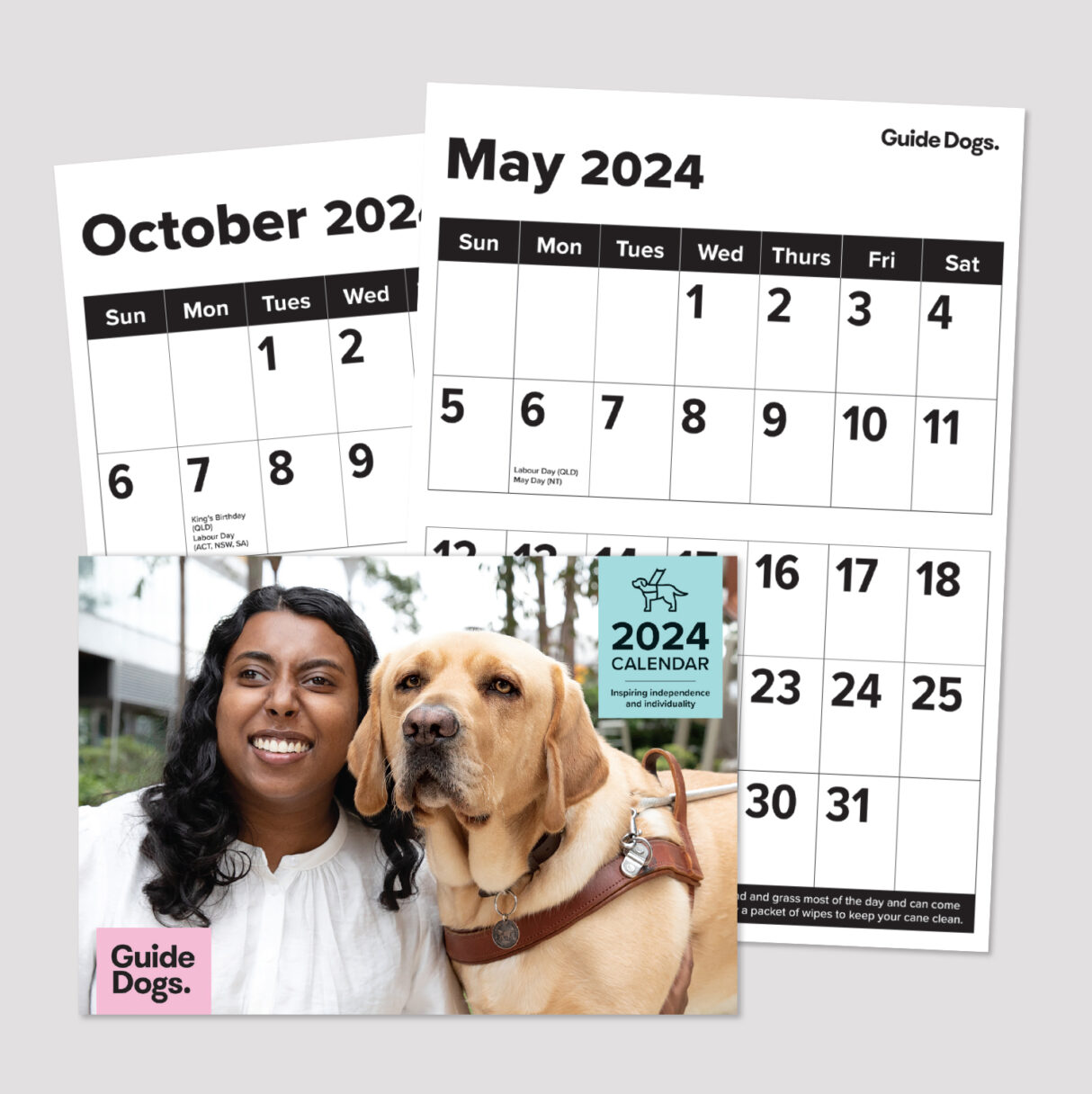 Large Print Guide Dogs 2024 Calendar (A3 size) Guide Dogs Queensland