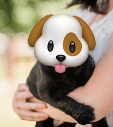 The Dos and Don&#8217;ts of Emojis