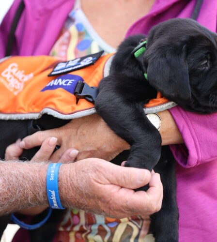 Davey: a special pup with a special legacy