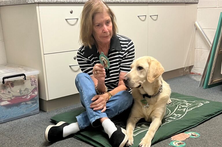 Your thanks to Hank and a sparkling future for Sparky - Guide Dogs ...