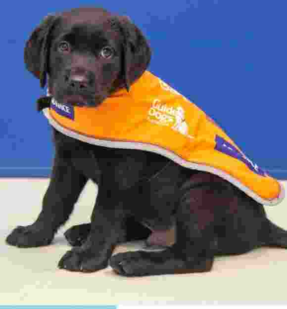 Manny in his coat.