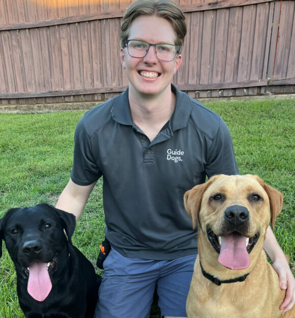 A canine attendent sitting on the grass with two puppies.