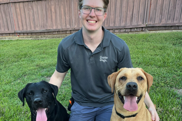 A canine attendent sitting on the grass with two puppies.