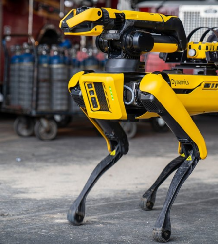 What do robots and dogs have in common?